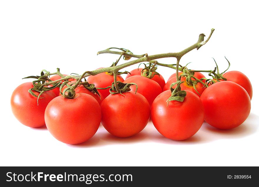 Many tomatos over white background, isolated. Many tomatos over white background, isolated