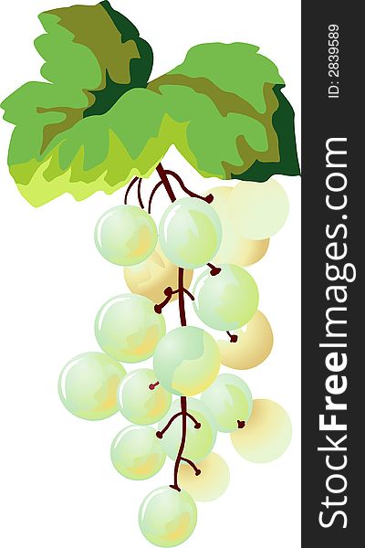 Juicy mature green appetizing grapes on a white background