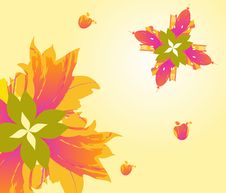 Autumn Flowers, Motifs Of The City. Royalty Free Stock Photos Autumn Flowers, Motifs Of The City. Royalty Free Stock Photos