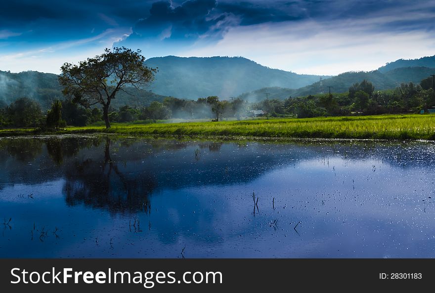 Swamps, Fields And The Evening Sky.