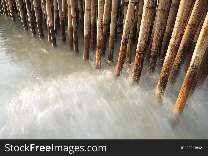 Bamboo fence protect sandbank from sea wave