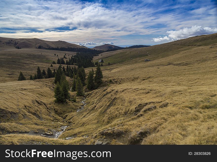 Small creek in sinaia mountains, romania