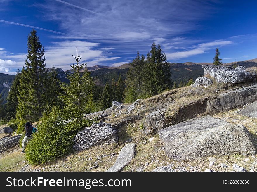 Firs and rocks in sinaia mountains, romania