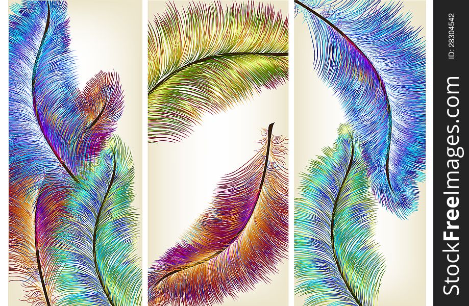 Colorful  ferns for your design. Colorful  ferns for your design