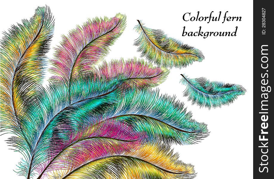 Colorful ferns for your design. Colorful ferns for your design