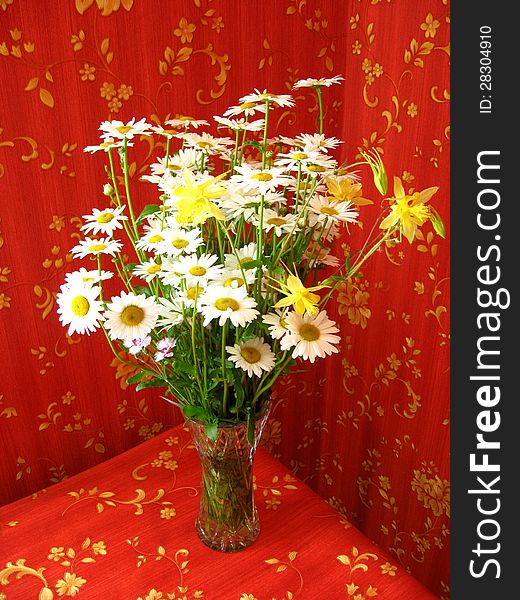 Beautiful bouquet with set of white camomiles. Beautiful bouquet with set of white camomiles