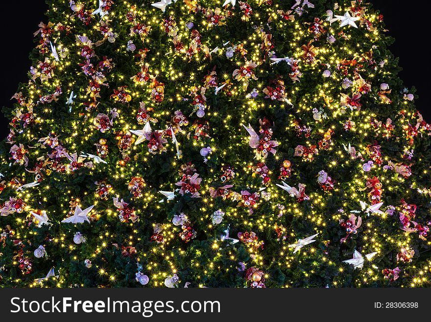 Christmas tree as a background or texture