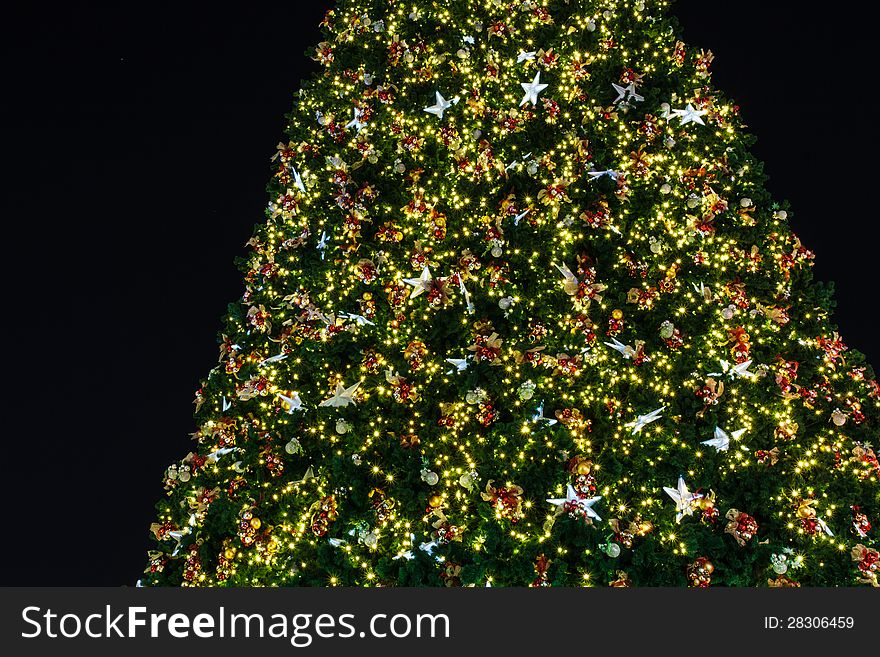 Close up image of christmas tree at night.