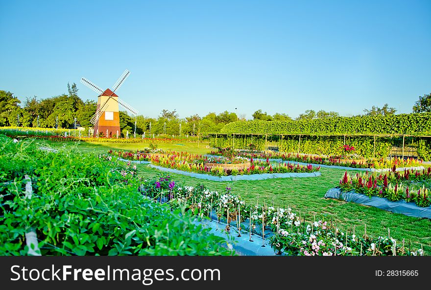 Windmill with flower garden landscape