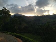 Kabaragala Mountain View Beautiful Morning Royalty Free Stock Photography