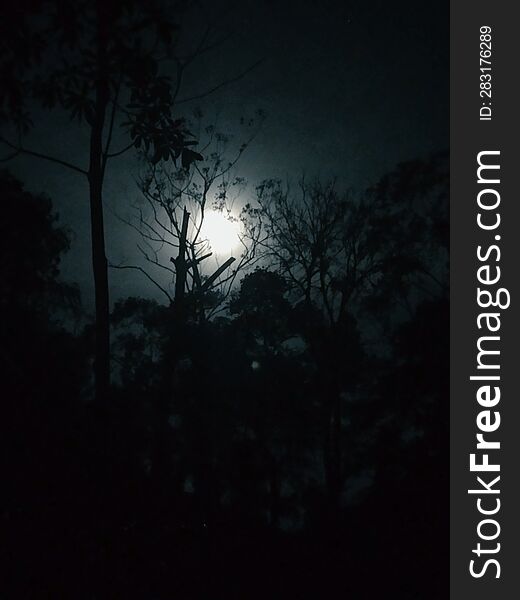 Beautiful Full Moon Night in the dark forest.thi photo capture in srilanka. Beautiful Full Moon Night in the dark forest.thi photo capture in srilanka