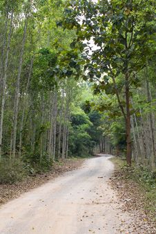 Country Road Royalty Free Stock Images Country Road Royalty Free Stock Images