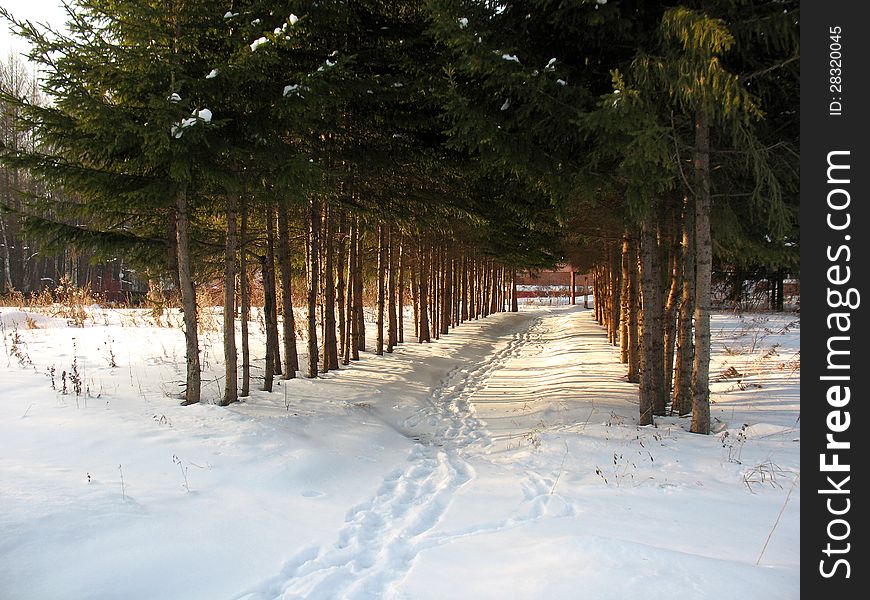 There are alley, blue sky and snow. There are alley, blue sky and snow