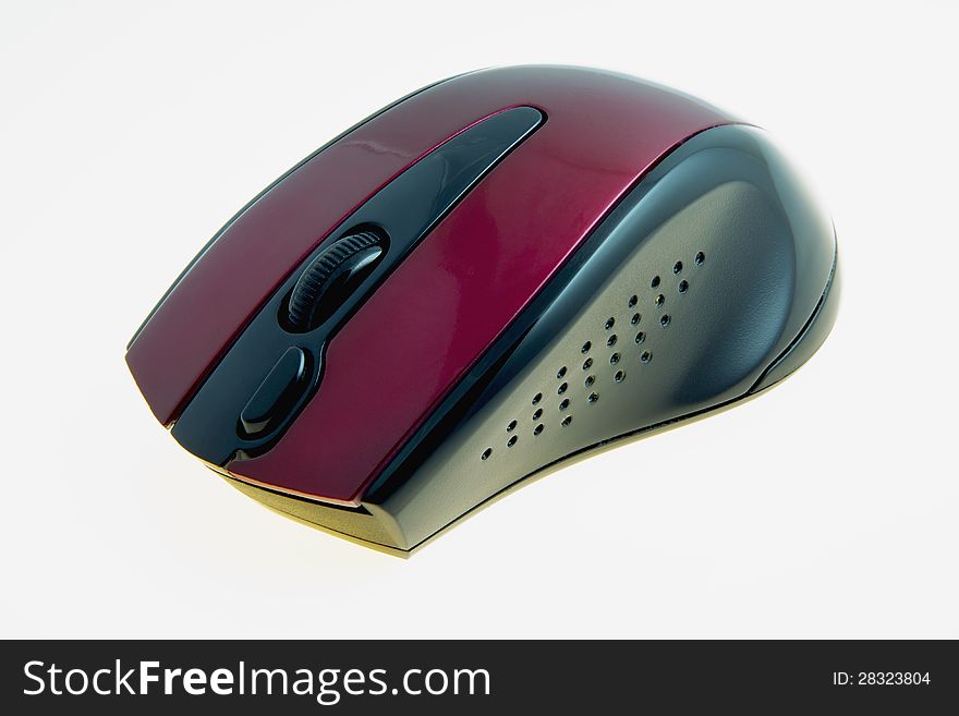 Computer mouse on a white background