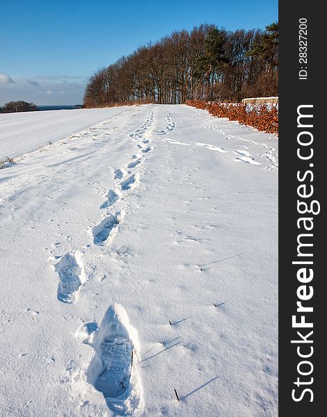 Footprints in deep snow out in nature - perfect winter background image