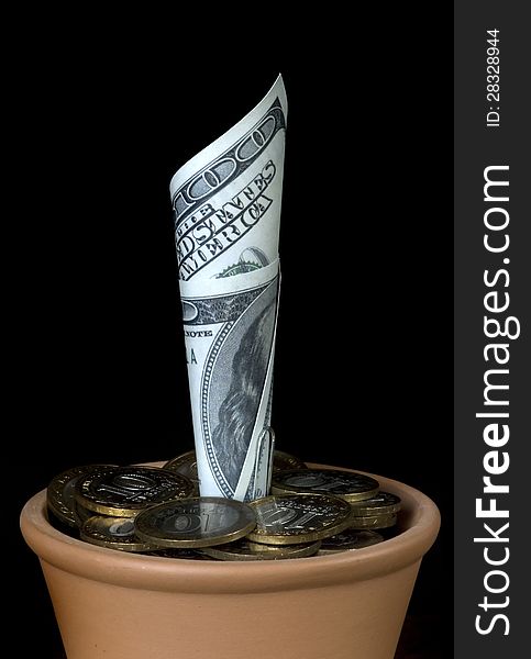 $ 100 in a flower pot on a black background