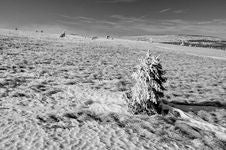 Black & White Winter Landscape Stock Photo Black & White Winter Landscape Stock Photo