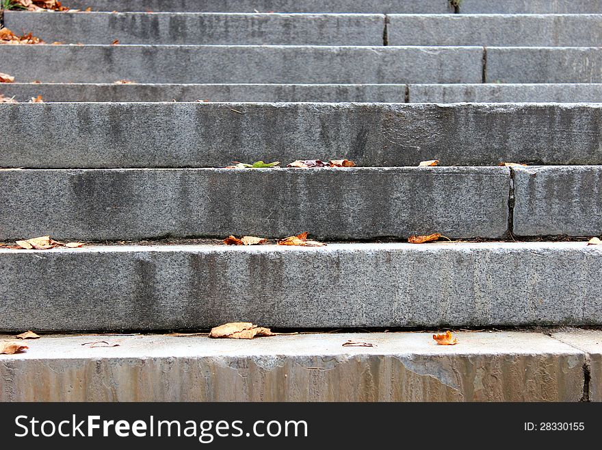 Gray stone steps leading upwards,with scattered fall foliage on each of them. Gray stone steps leading upwards,with scattered fall foliage on each of them.