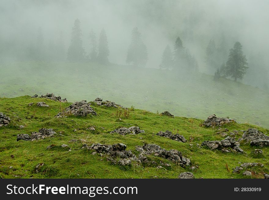 Alpine meadow and forest near Achensee, Austria. Rainy and misty weather, which gives great atmosphere to this picture. Alpine meadow and forest near Achensee, Austria. Rainy and misty weather, which gives great atmosphere to this picture.