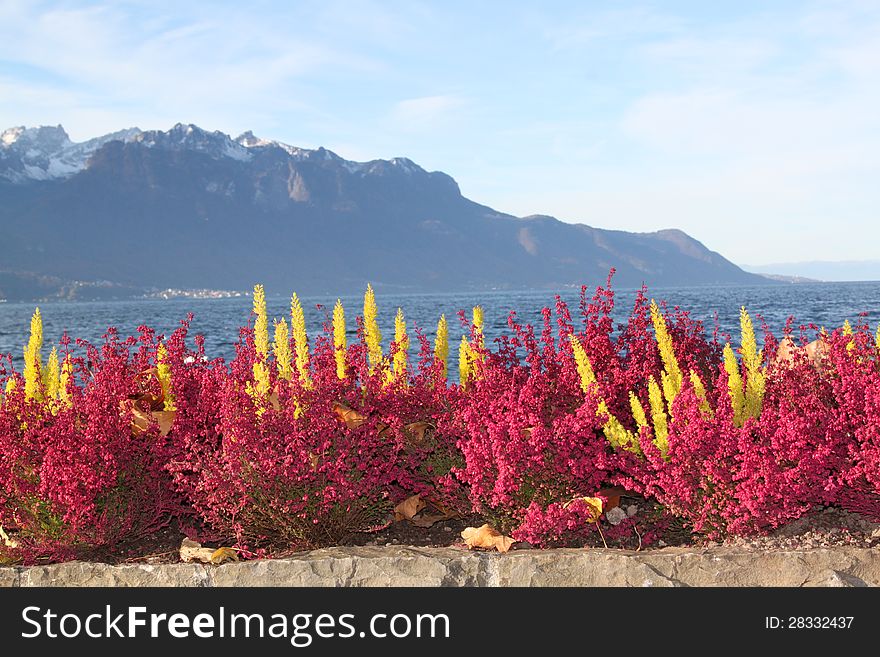 View of Montreux, Switzerland, Central Europe, autumn