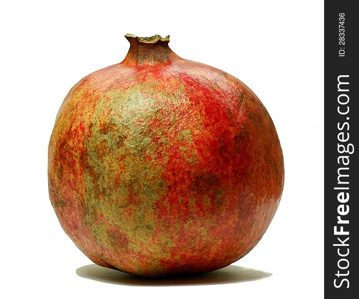 The Pomegranate (Punica granatum) is a fruit-bearing deciduous shrub or small tree