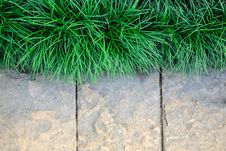 Grass Frame On Stone Block Background Stock Images Grass Frame On Stone Block Background Stock Images