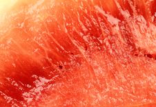 Melon Texture Stock Image