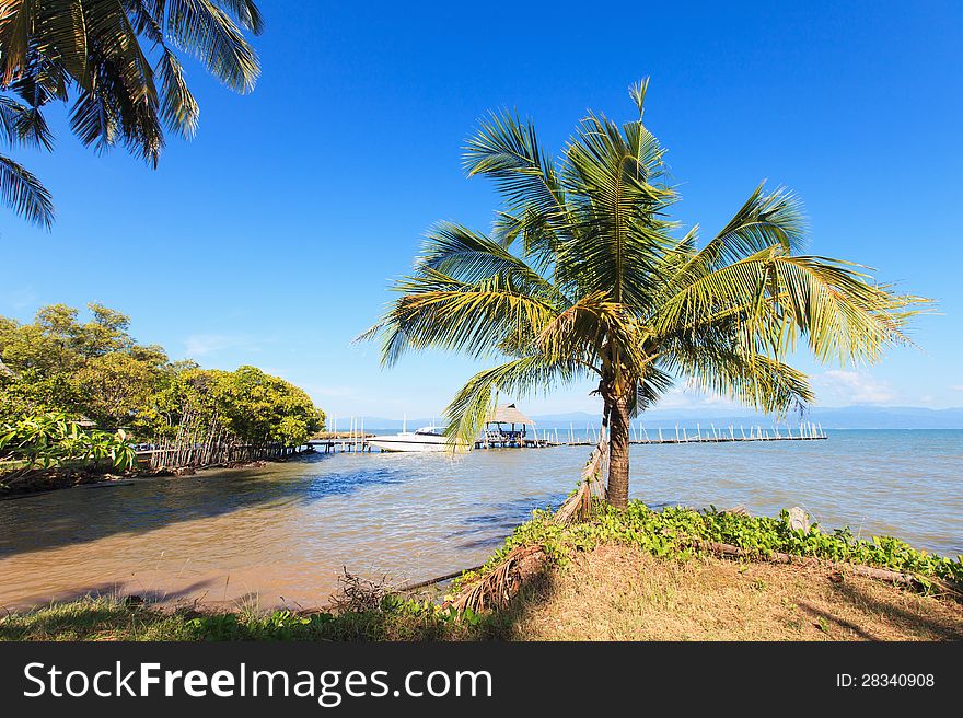 Tropical landscape. Coconut palm on the blue sky and sea. Old wooden boat pier.