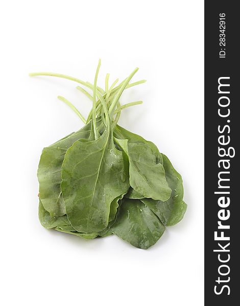 Heap of asian organic spinach isolated on white background