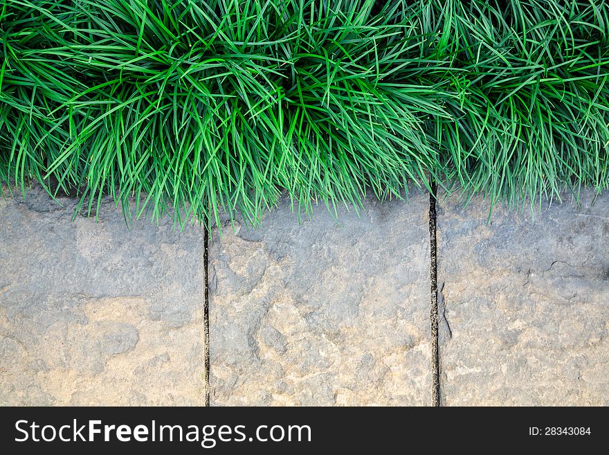 Grass frame  on stone block background