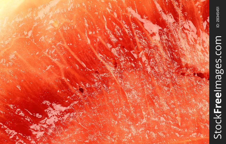 Macro close-up detail of a melon. Macro close-up detail of a melon