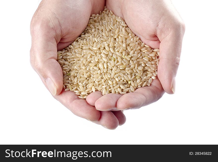 Males hands holding brown rice #2. Males hands holding brown rice #2