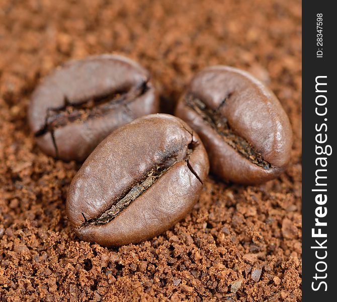 A close-up of three coffee beans on ground coffee – square image. A close-up of three coffee beans on ground coffee – square image