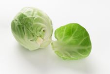 Fresh Brussel Sprout Royalty Free Stock Photo