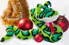 Snake Stock Image Snake Stock Image