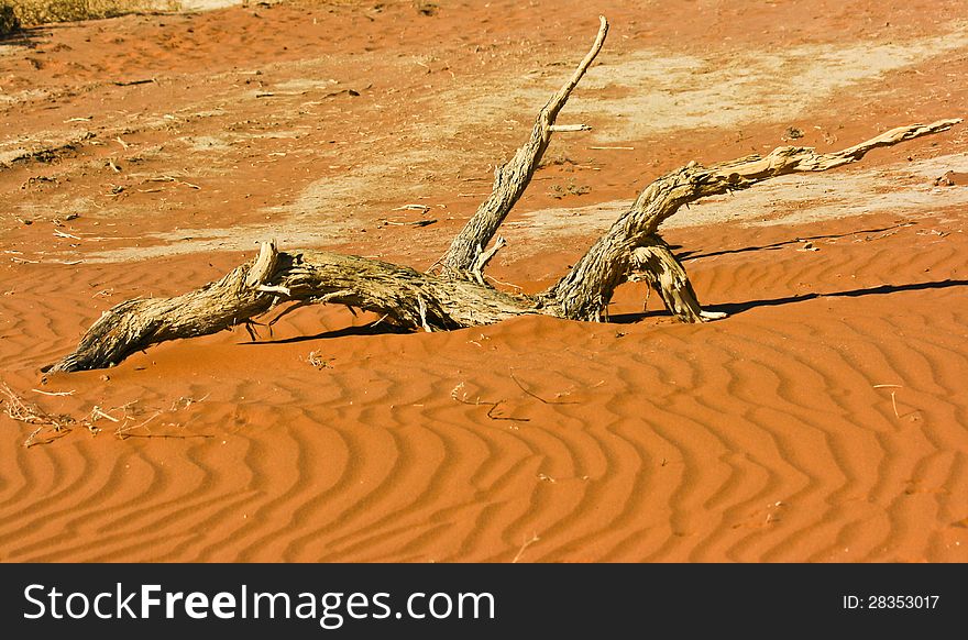 Sand dune in Namib-Naukluft National Park, Namibia