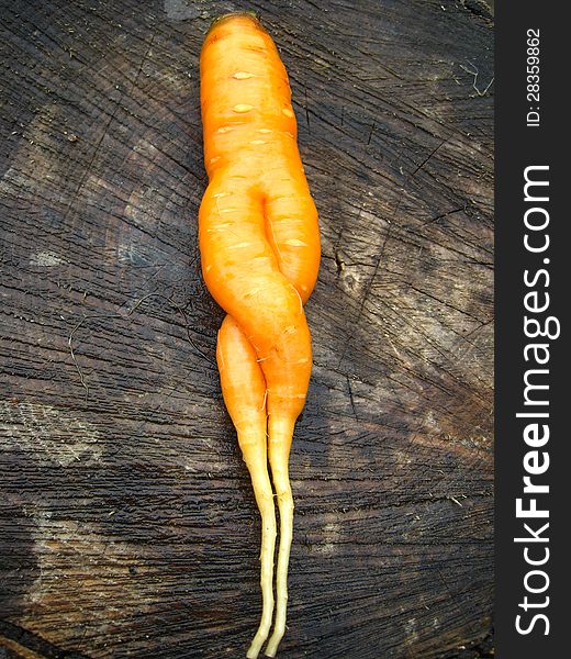 The image of unusual carrot lying on a stub