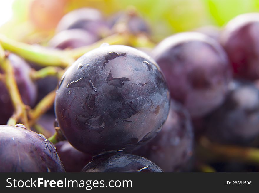 Wet Black Grapes close up