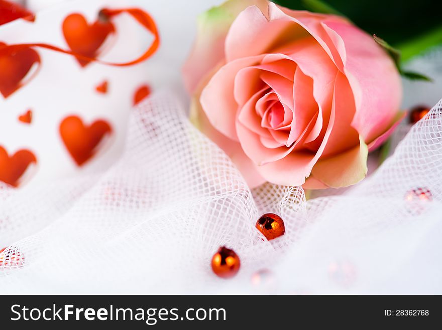 Romantic Single Perfect Pink Rose