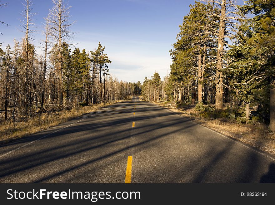 Straight Road to Bryce Canyon in Arizona