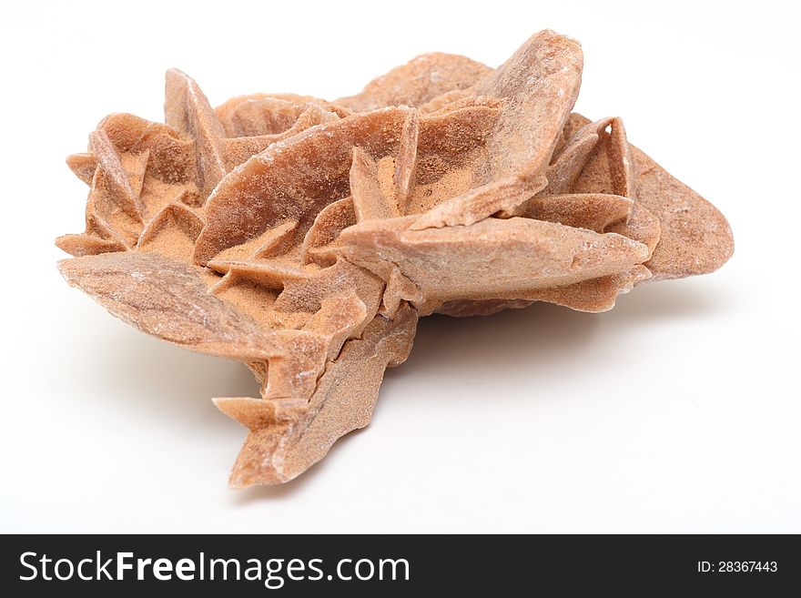 Desert rose isolated low angle