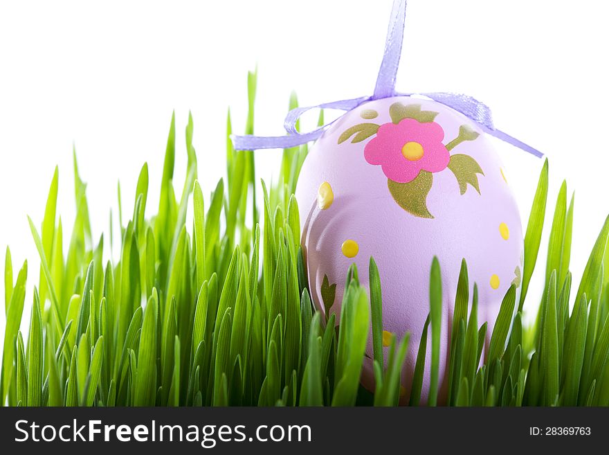 Colorful Easter eggs hanging above fresh grass isolated on white. Colorful Easter eggs hanging above fresh grass isolated on white