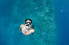 Woman Free Diving On A Coral Reef Royalty Free Stock Photos Woman Free Diving On A Coral Reef Royalty Free Stock Photos