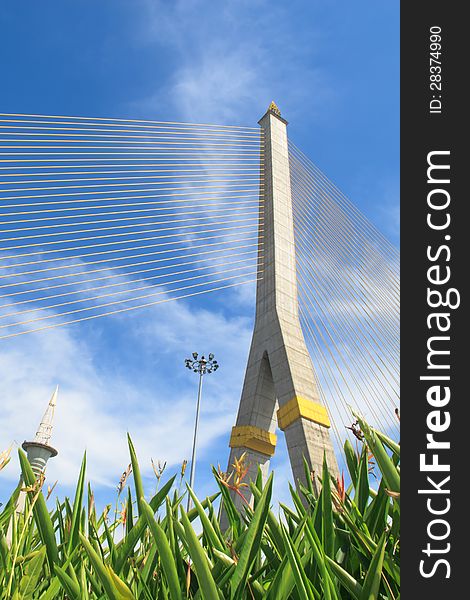 Rama VIII cable bridge with blue sky background, Bangkok. Rama VIII cable bridge with blue sky background, Bangkok