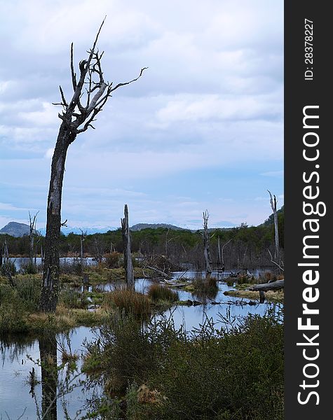 Tierra Del Fuego National Park