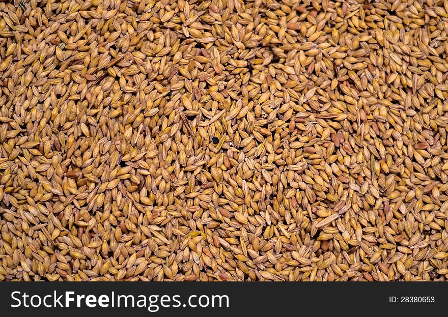 Wheat grain texture bean crop rural