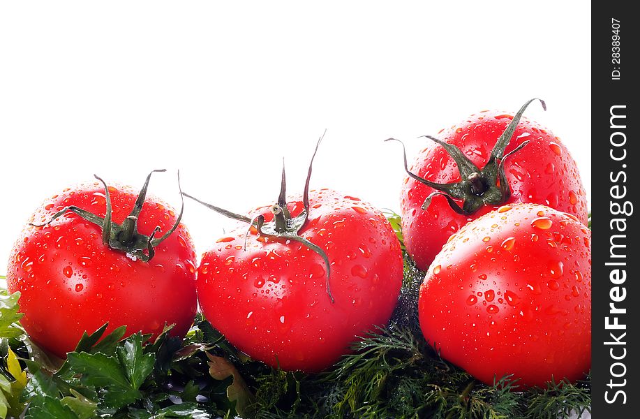 Ripe tomatoes in drops and greens