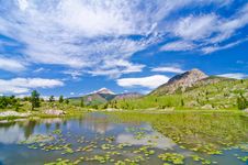 Beaver Lagoon In The San Juan Mountains In Colorado Stock Images Beaver Lagoon In The San Juan Mountains In Colorado Stock Images