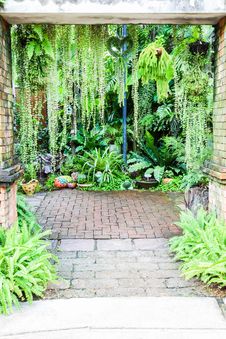 Walk Way Entrance To Fern Garden Royalty Free Stock Images Walk Way Entrance To Fern Garden Royalty Free Stock Images