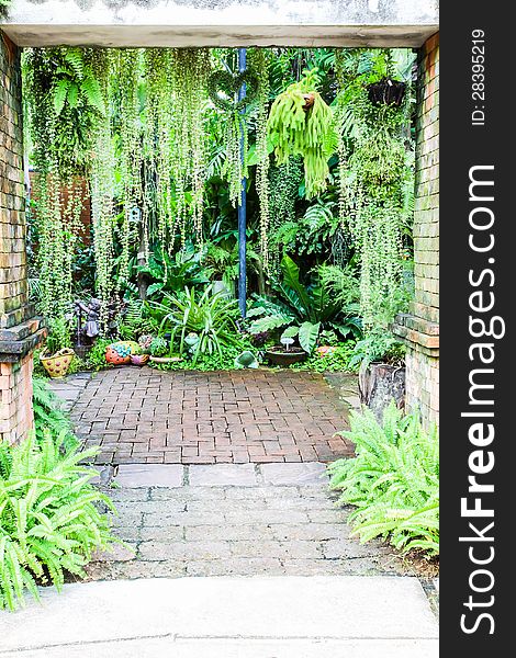 Walk way entrance to fern garden, Phuket, Thailand